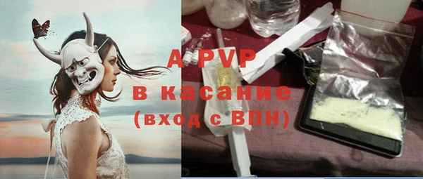 сатива Вяземский