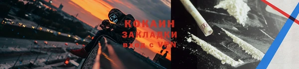 сатива Вяземский