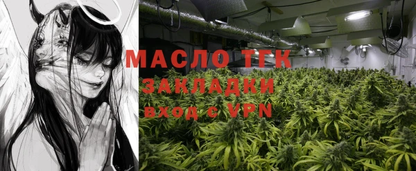 сатива Вяземский