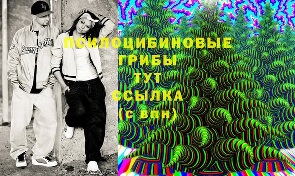 прущий лед Горняк