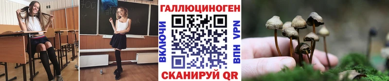 ссылка на мегу   Мценск  Псилоцибиновые грибы мицелий 